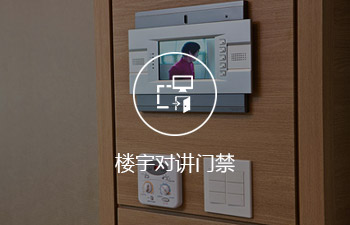 楼宇对讲门禁